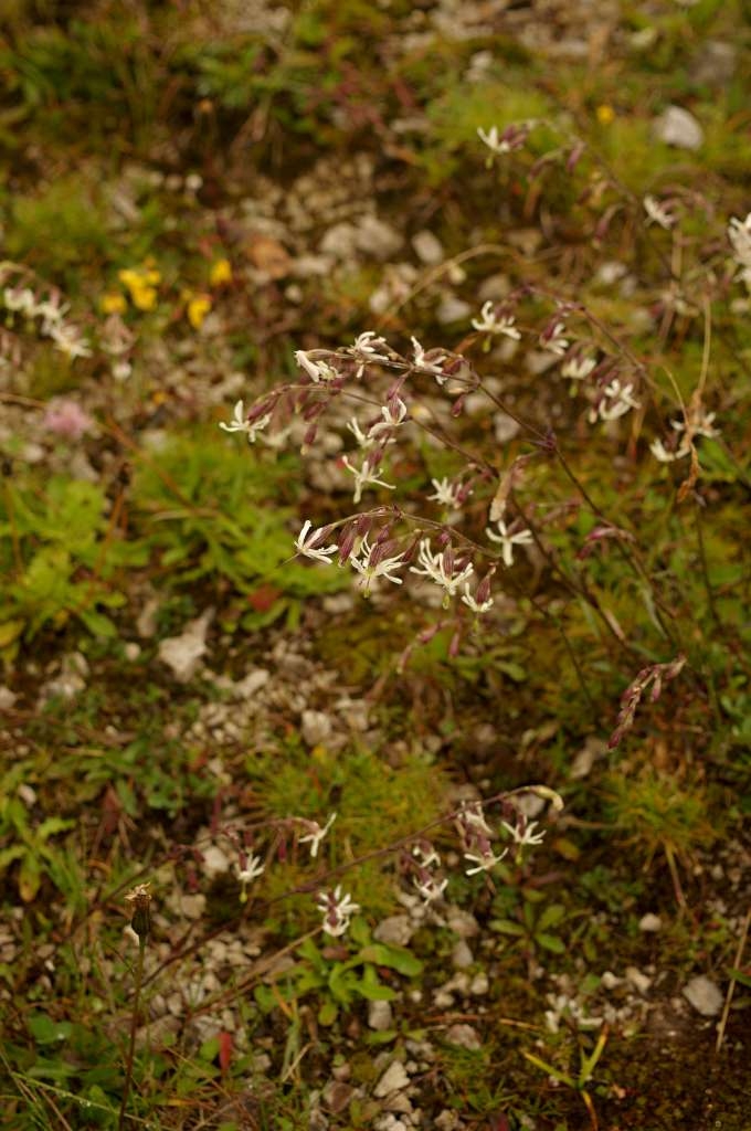 IMGP0090-1024~2.jpg
