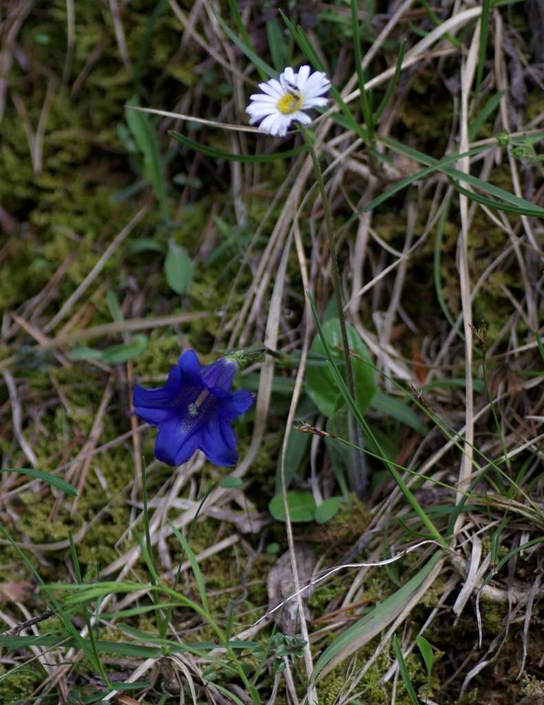 IMGP0099-1024~1.jpg