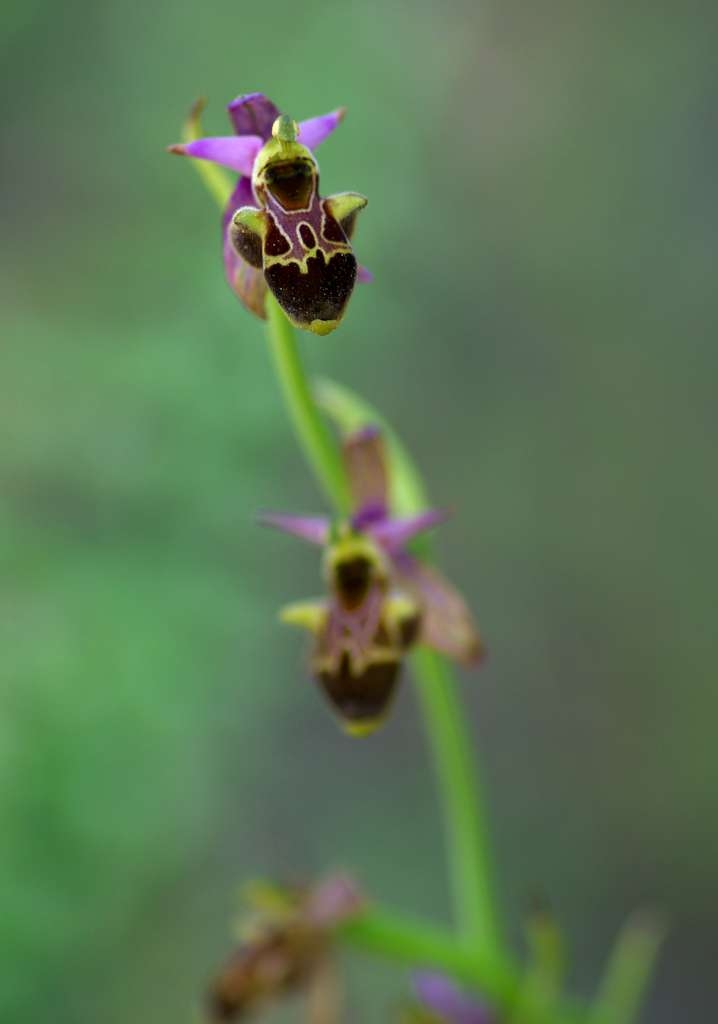 IMGP0102-1024~0.jpg