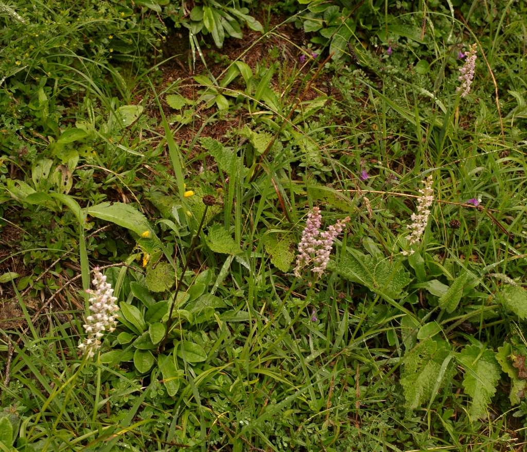IMGP0103-1024~1.jpg