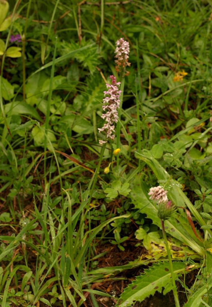 IMGP0104-1024~0.jpg