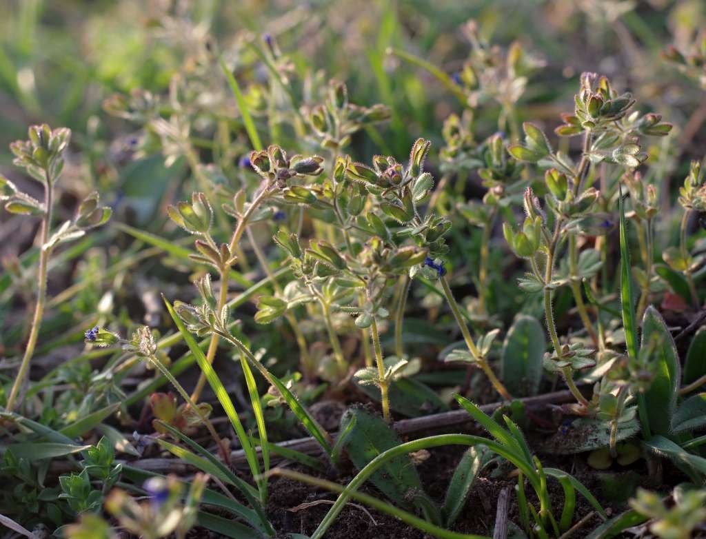 IMGP0120-1024~3.jpg