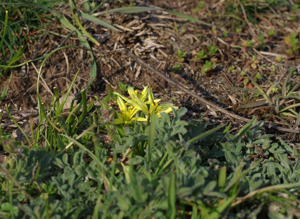 IMGP0134-1024~1.jpg