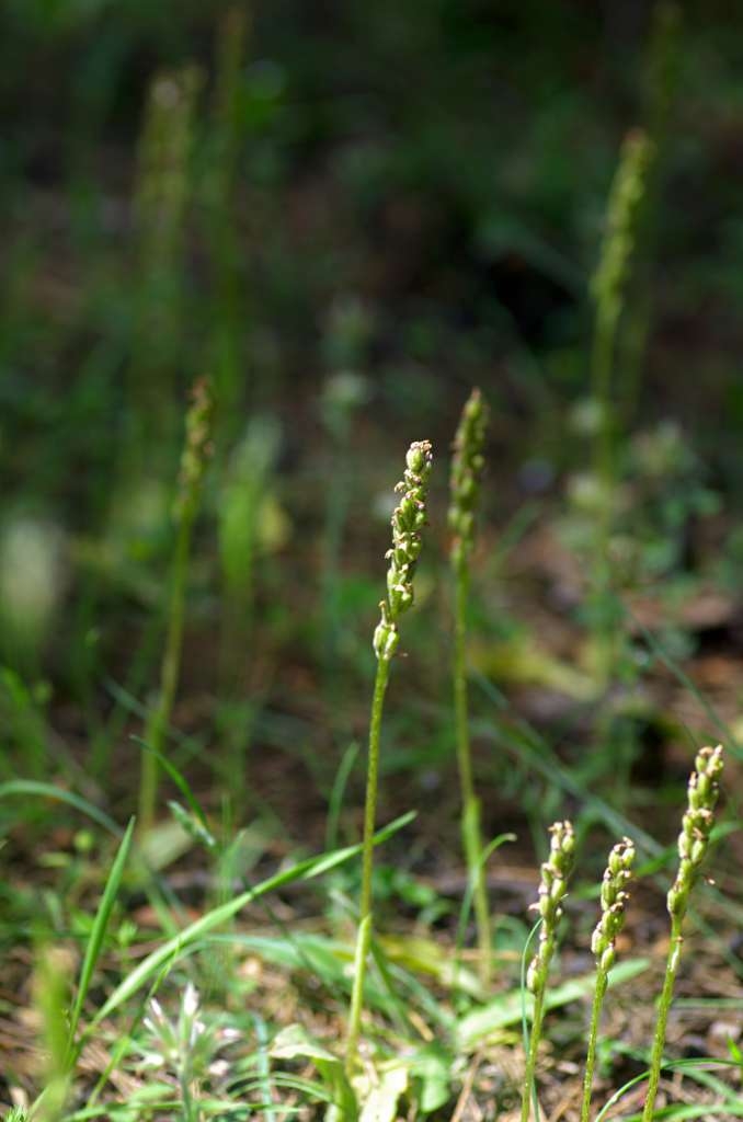 IMGP0216-1024~0.jpg