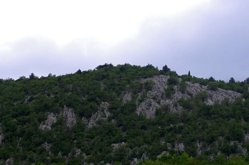 IMGP0235-1024.jpg