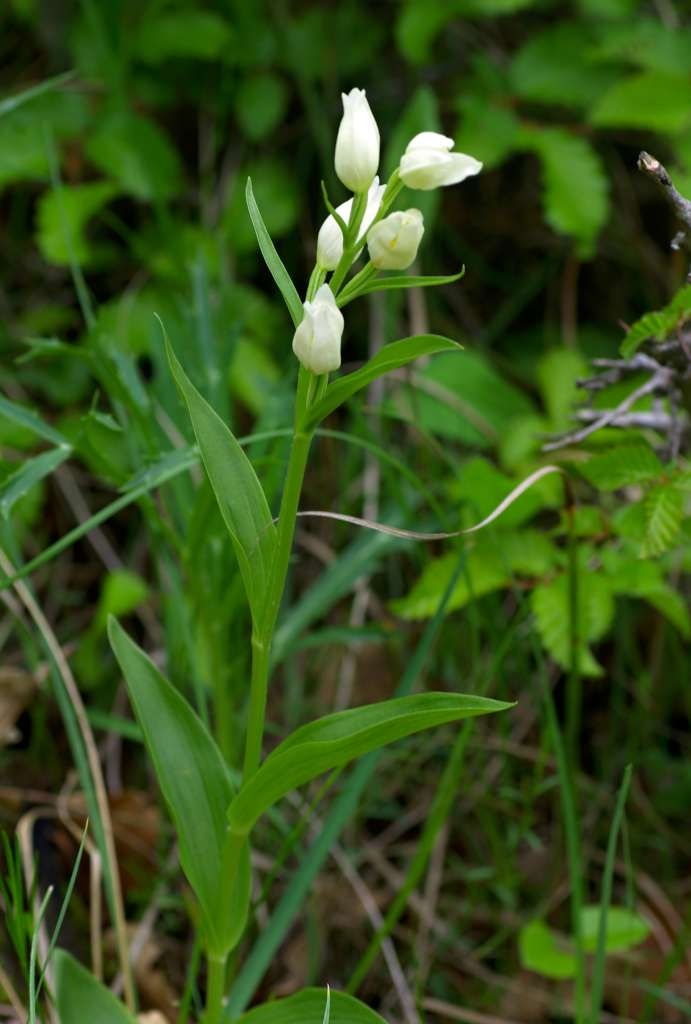 IMGP0239-1024~0.jpg