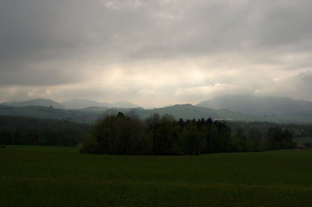 IMGP0247-1024~3.jpg