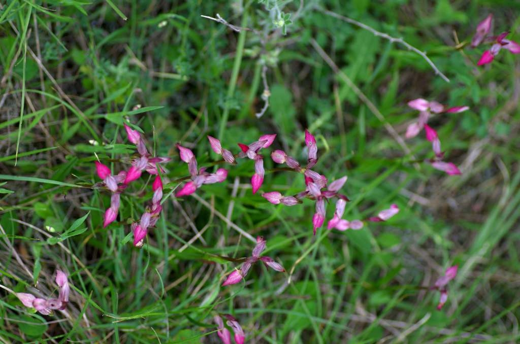 IMGP0651-1024.jpg