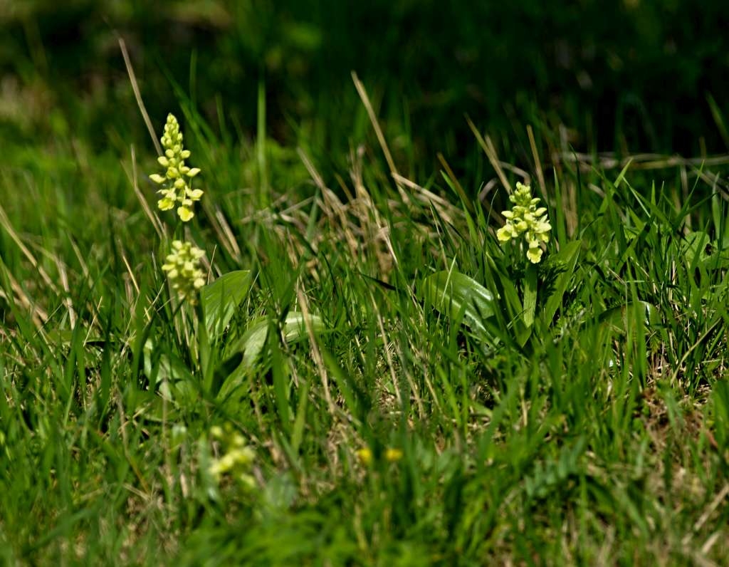 IMGP0759-1024.jpg
