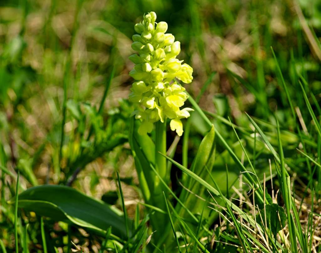 IMGP0772-1024.jpg