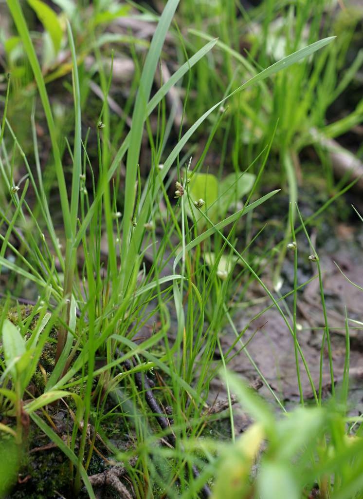 IMGP0829-1024~2.jpg