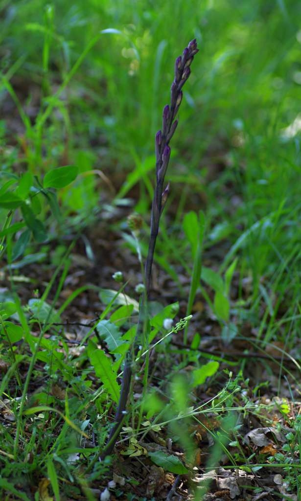 IMGP0870-1024.jpg
