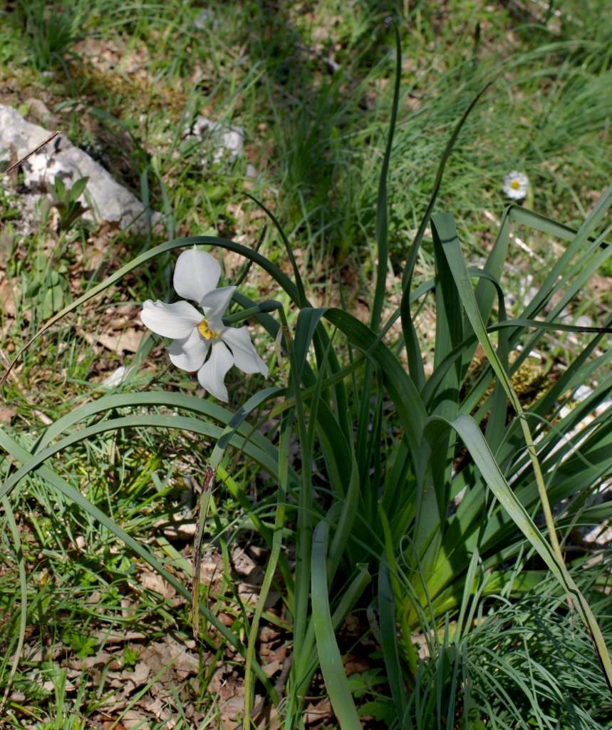 IMGP0915-1024.jpg