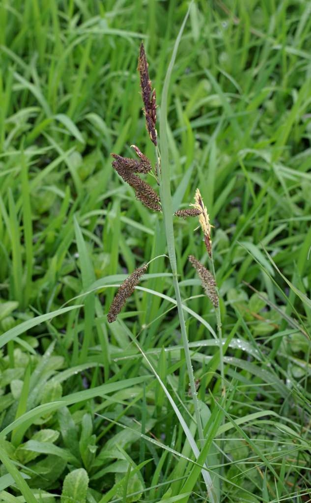 IMGP0927-1024~2.jpg