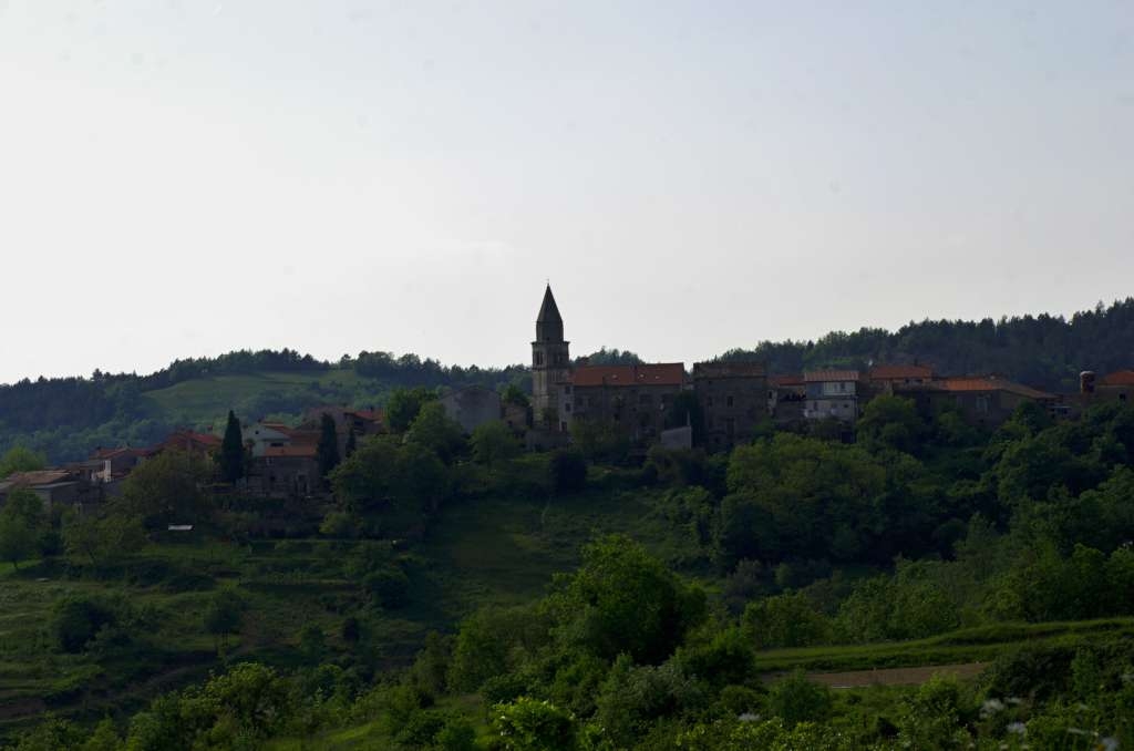 IMGP0955-1024.jpg