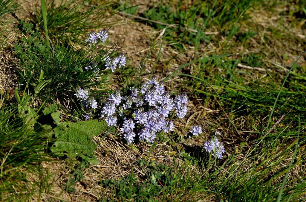 IMGP0992-1024.jpg