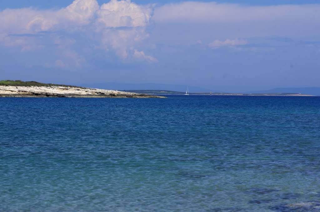 IMGP1030-1024.jpg