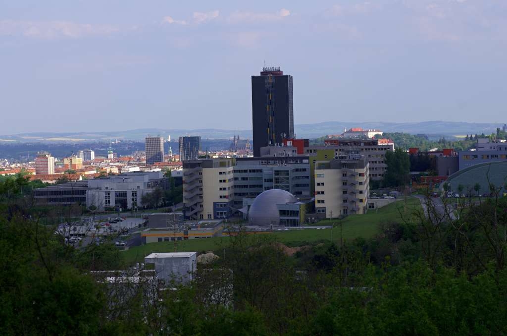 IMGP1207-1024.jpg
