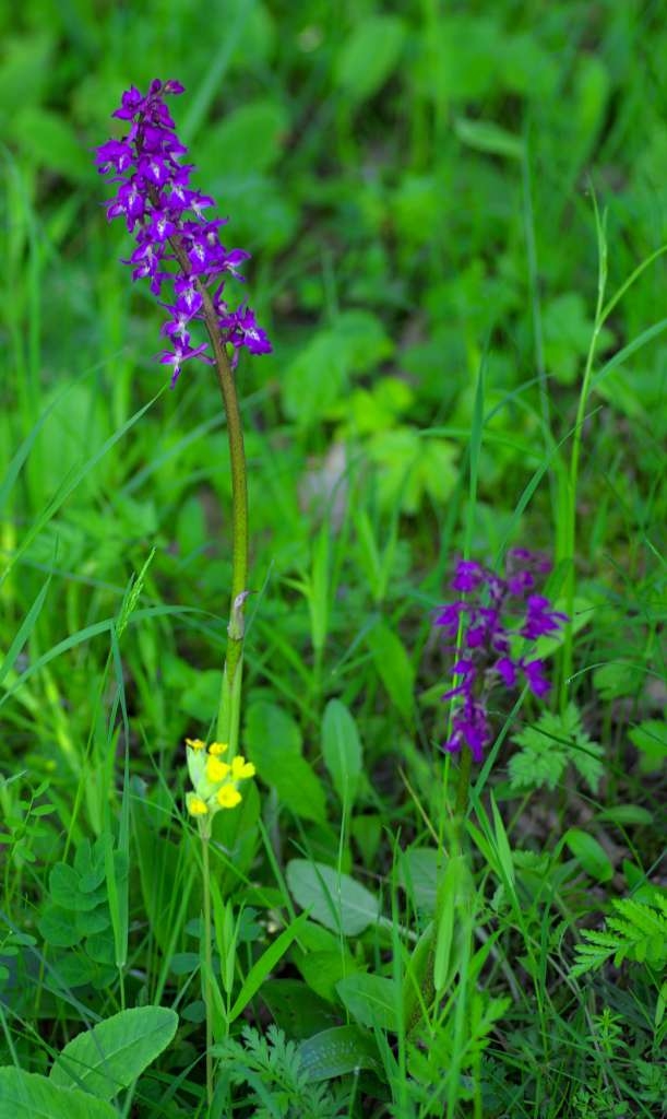 IMGP1238-1024~0.jpg