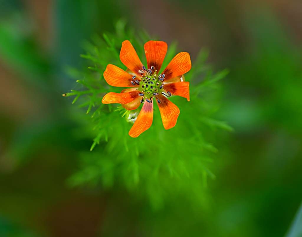 IMGP1419-1024~0.jpg