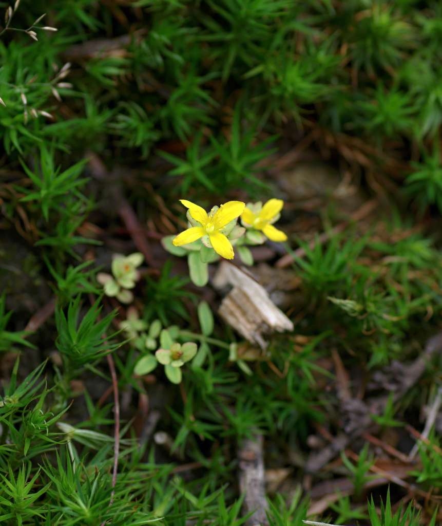 IMGP1424-1024~2.jpg
