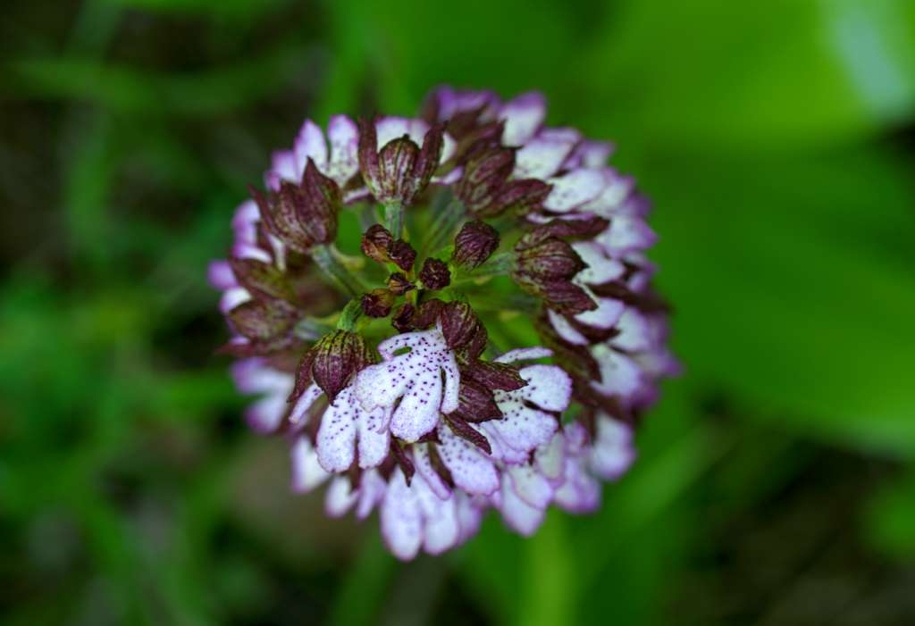 IMGP1485-1024~0.jpg