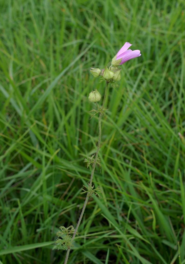 IMGP1543-1024~2.jpg