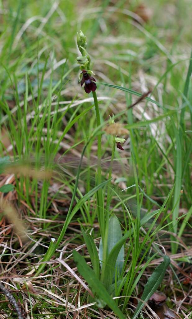 IMGP1613-1024~3.jpg