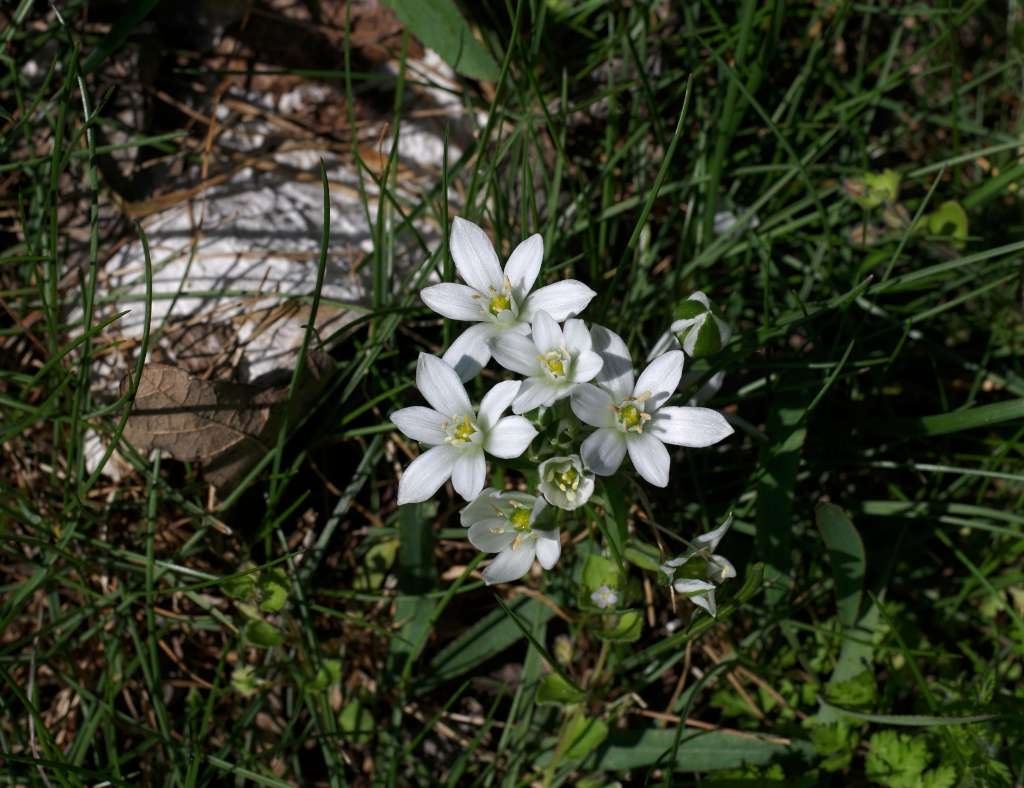IMGP1742-1024~0.jpg
