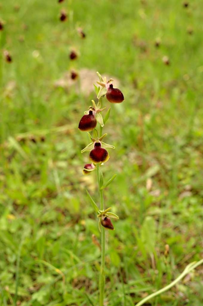 IMGP1792-1024~0.jpg