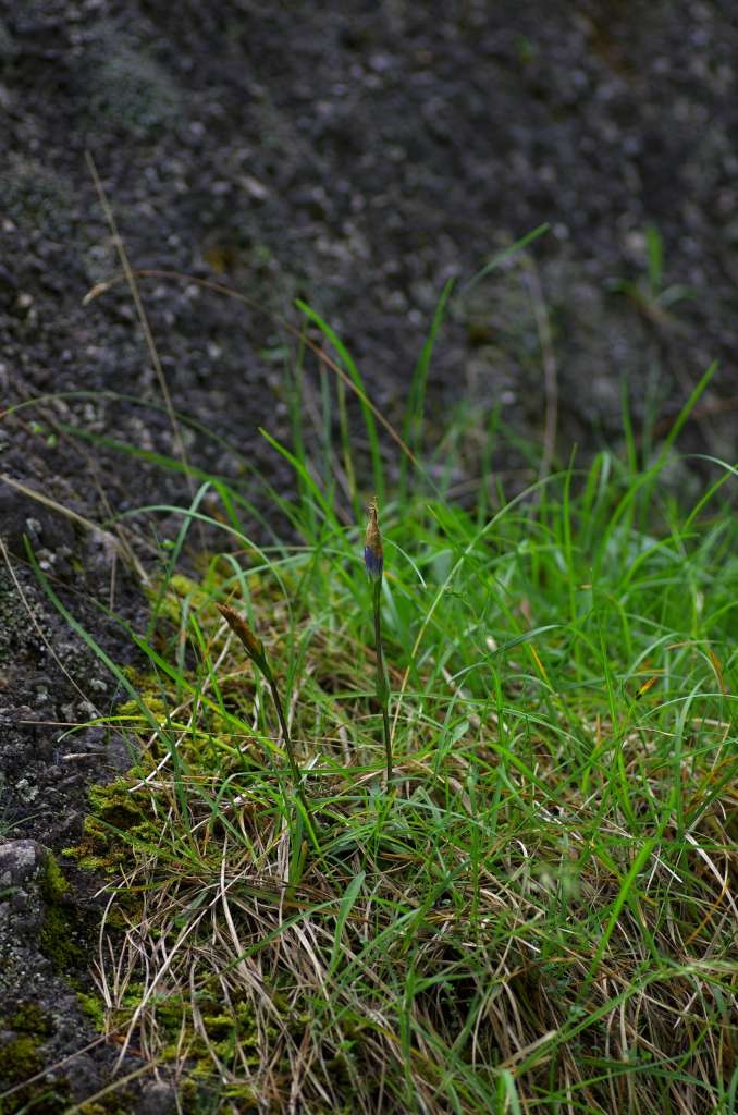 IMGP1813-1024.jpg
