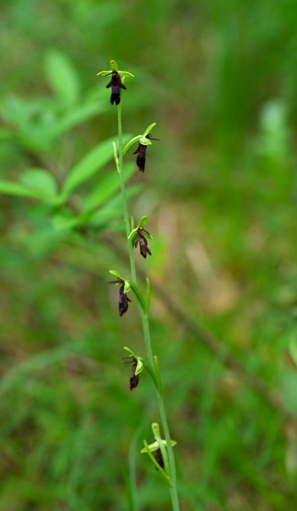 IMGP1843-1024~0.jpg