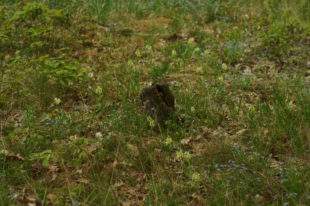 IMGP1843-1024~3.jpg