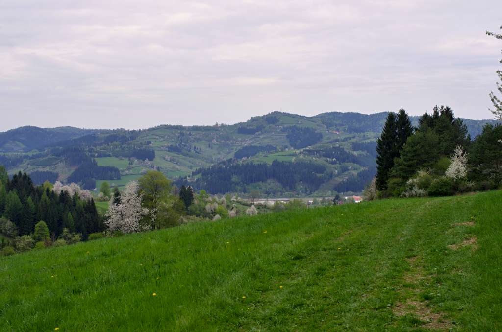 IMGP1860-1024.jpg