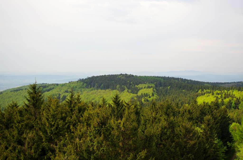IMGP1929-1024.jpg