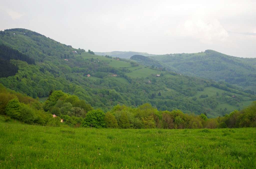 IMGP1936-1024.jpg