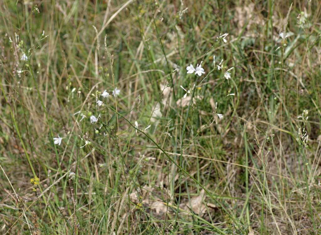 IMGP1984-1024~3.jpg