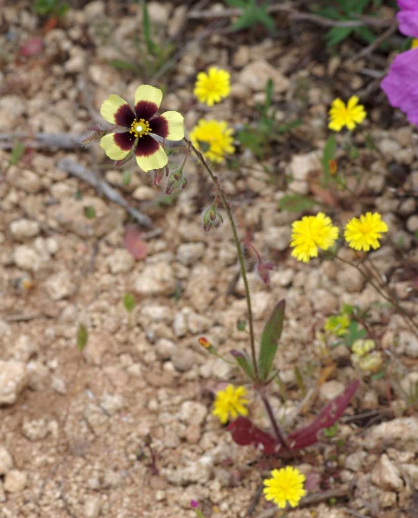 IMGP2014-1024~2.jpg