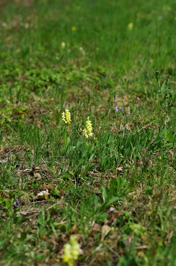 IMGP2072-1024~3.jpg