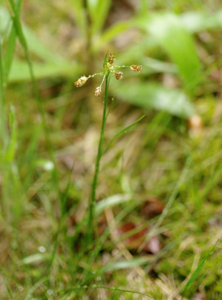 IMGP2125-1024~2.jpg