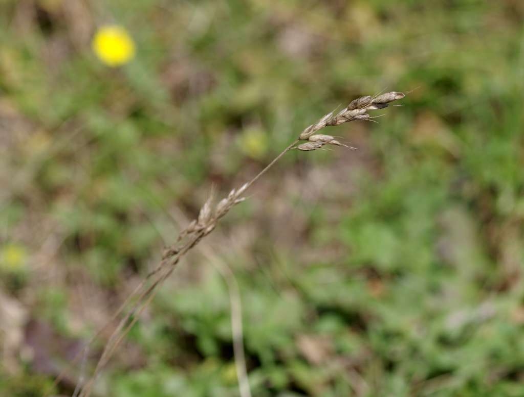 IMGP2221-1024~3.jpg