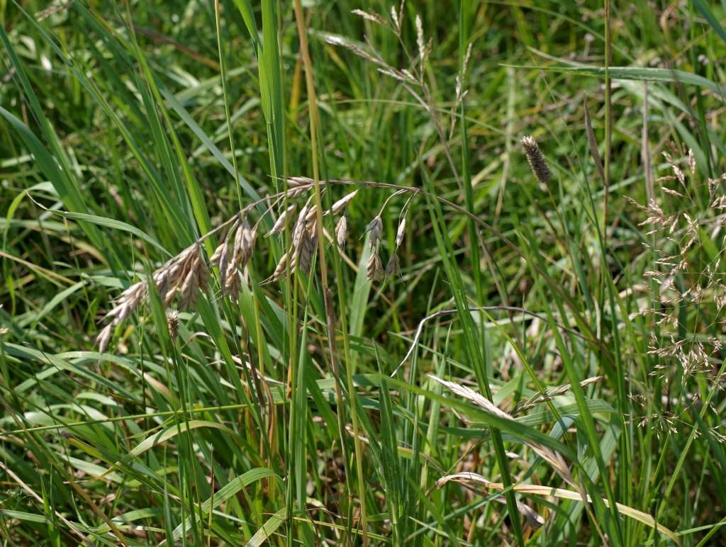 IMGP2279-1024~2.jpg