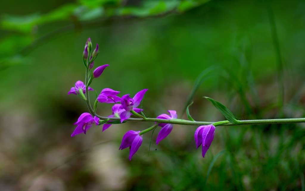 IMGP2353-1024~0.jpg