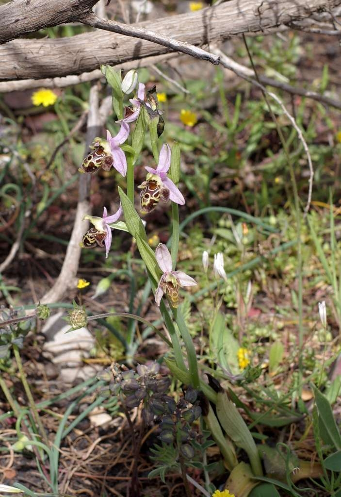IMGP2362-1024~2.jpg