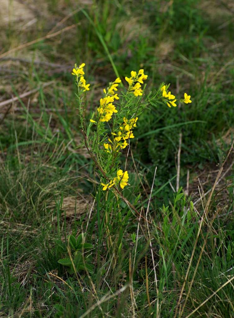 IMGP2425-1024~2.jpg