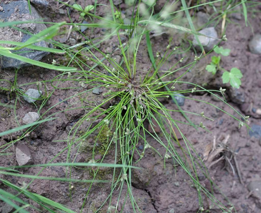 IMGP2614-1024~2.jpg