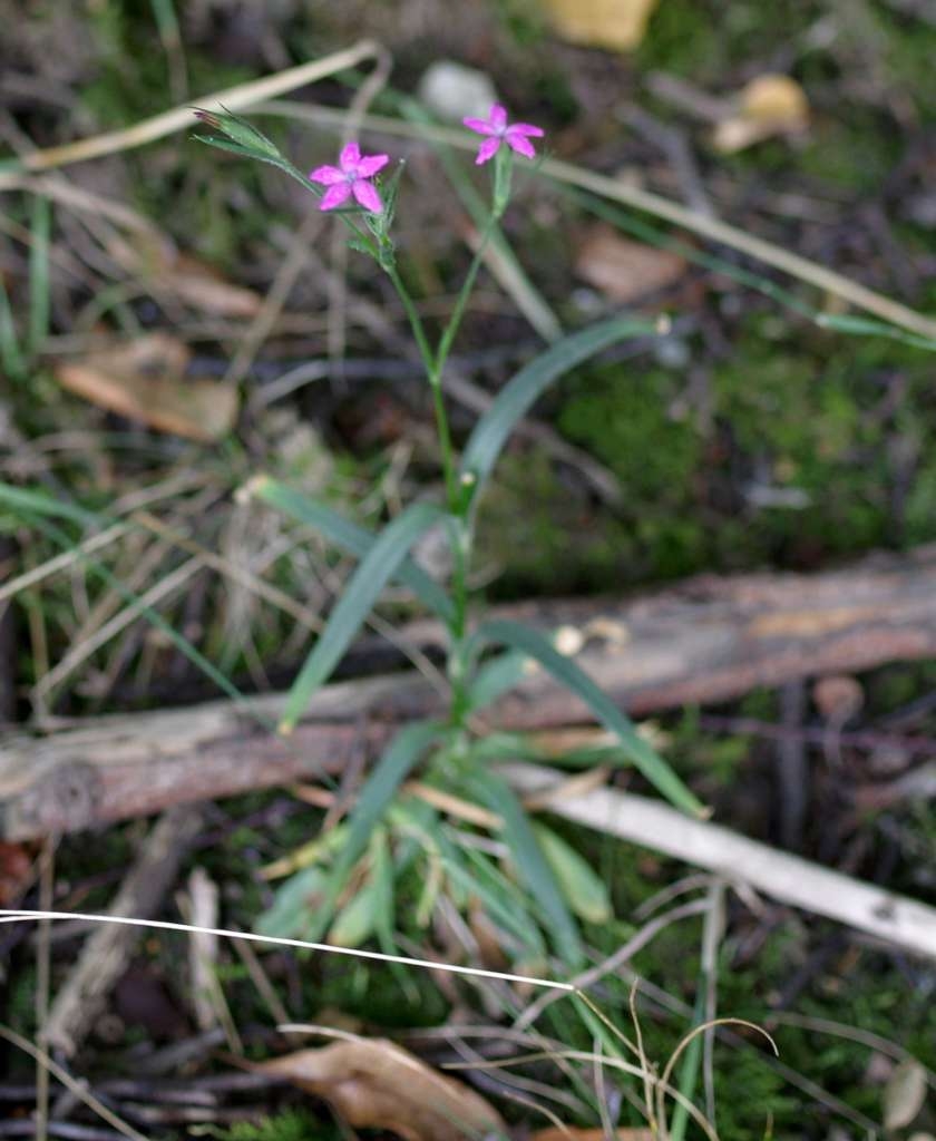 IMGP2632-1024~1.jpg