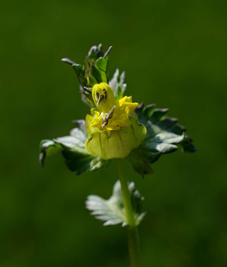 IMGP2721-1024~2.jpg
