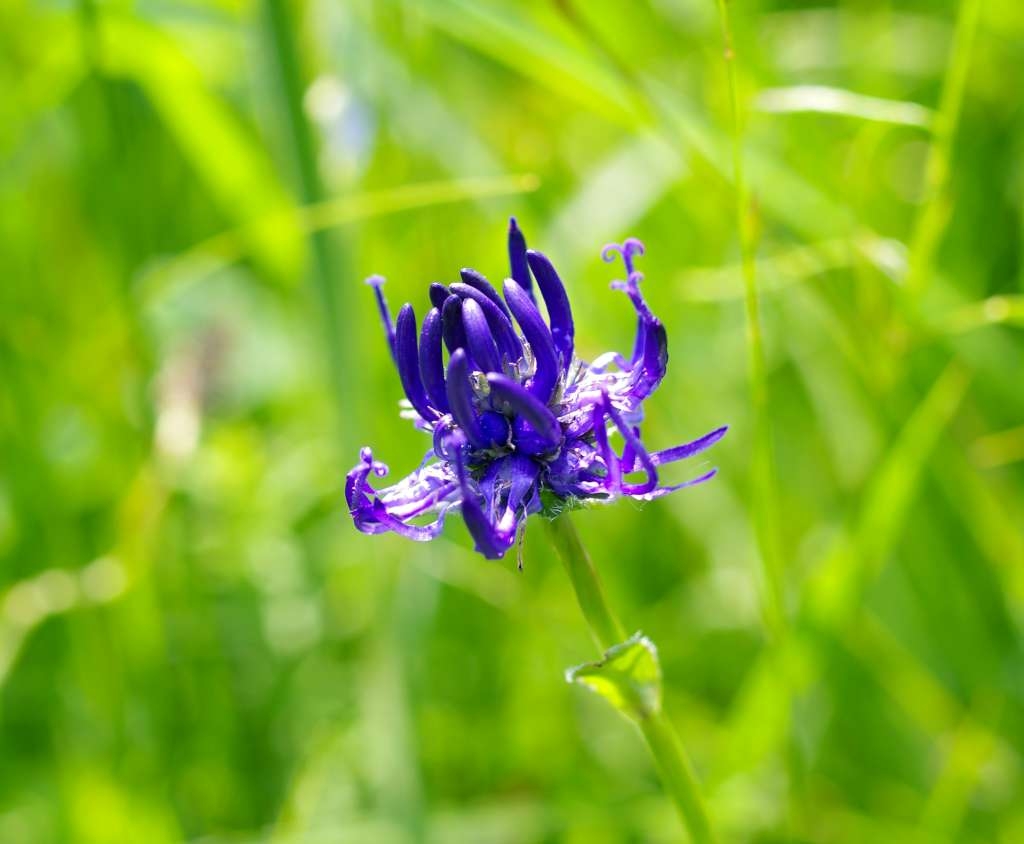 IMGP2727-1024~4.jpg