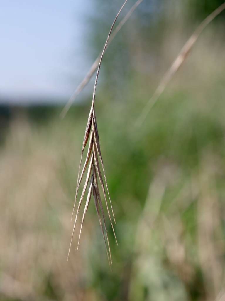 IMGP2848-1024.jpg